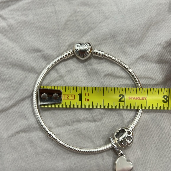 Pandora Silver Bracelet with Friends Forever, Paw Print, and Infinity Charms - Picture 4 of 4